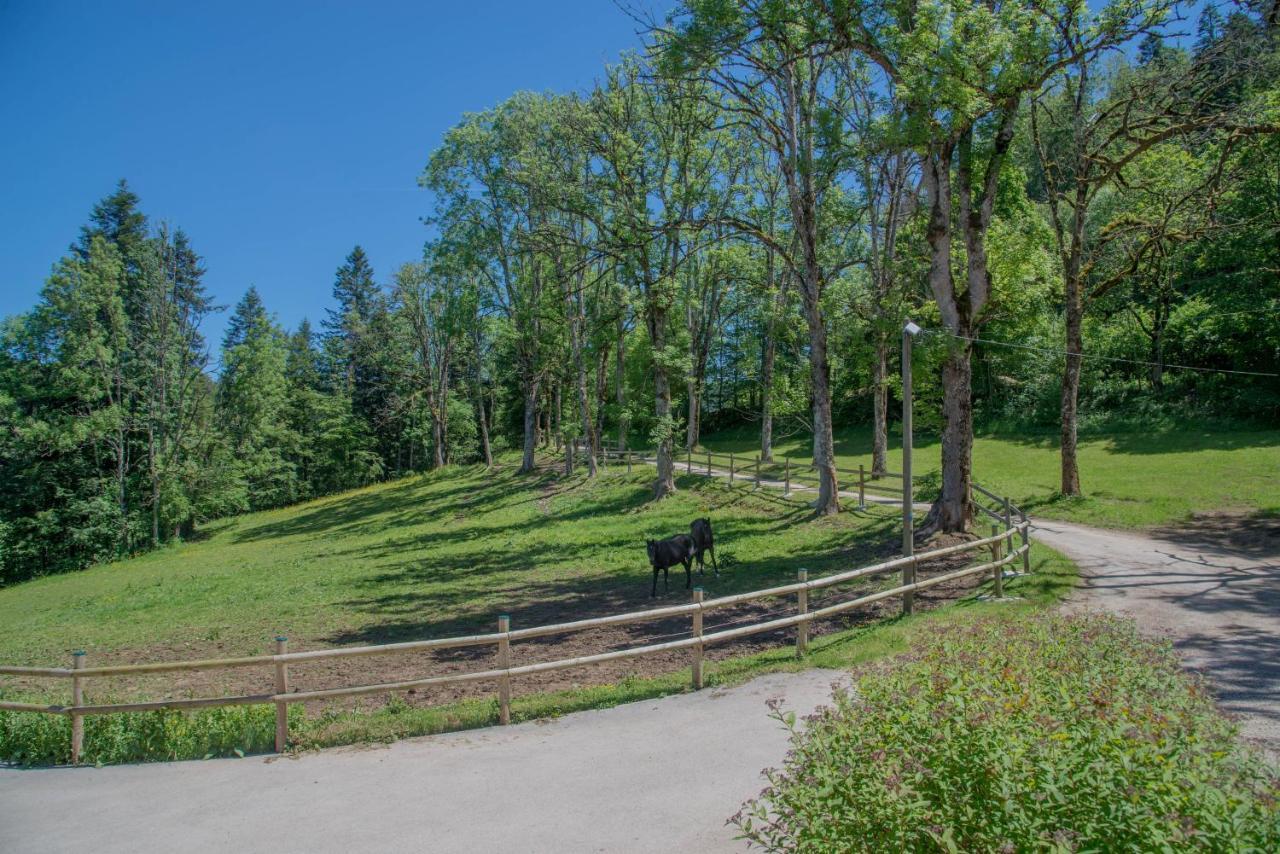 Domaine De Malpas Apartment Вилер-льо-Лак Екстериор снимка
